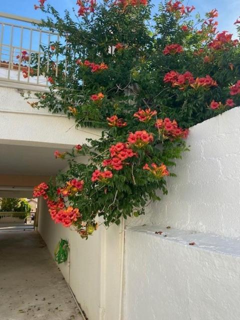 Spata Lykourgos Homes Екстериор снимка