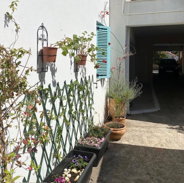 Spata Lykourgos Homes Екстериор снимка